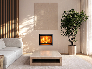 Barbas Evo Compact 55-45 Houtkachel